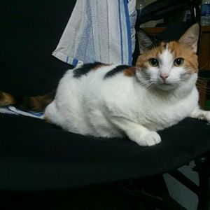 Meet your Posher, Valentina